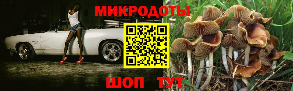 Сочи  Псилоцибиновые грибы Psilocybe  Вход с VPN 